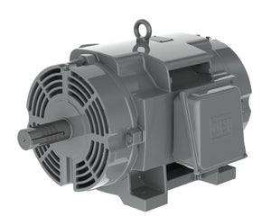 WEG CP100402NPW40<br>(100HP, 3600RPM, 230/460V) - Duke Electric